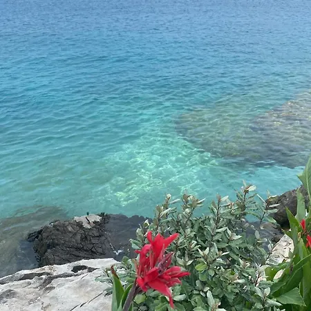 公寓 View Forever / Brac, *