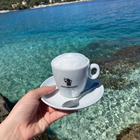 View Forever / Brac, 公寓 Selca (Brac)