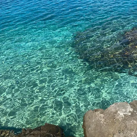 View Forever / Brac,